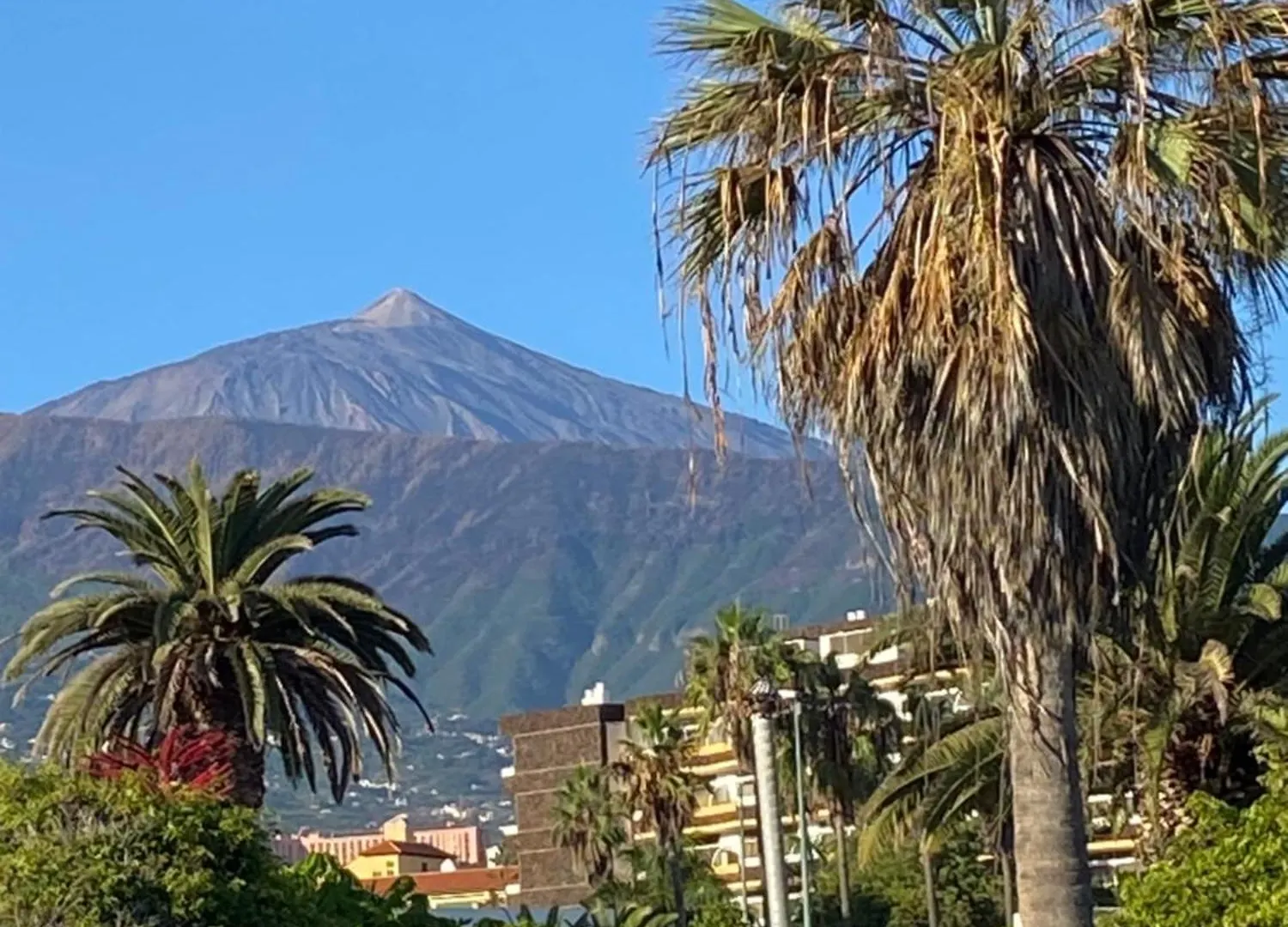 Villa Oasis La Paz - Bencomo Apartment - Adults Only Puerto de la Cruz